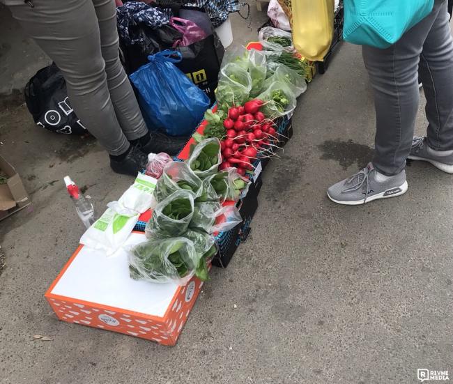 Огірки, редис і цибуля: скільки коштує городина на базарі у Рівному? (ФОТО)