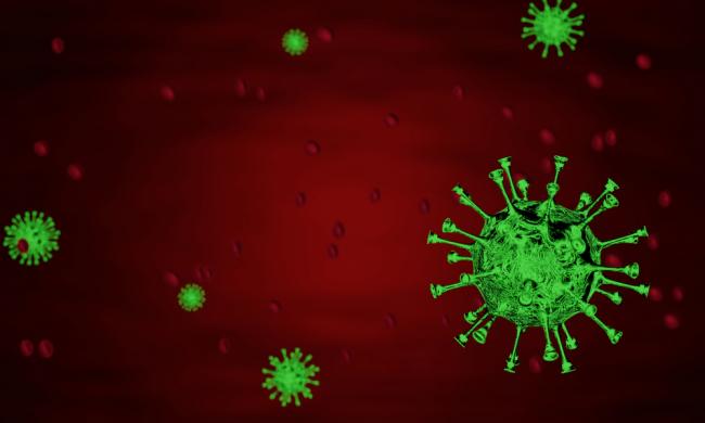 Немовля та 184 мешканці Рівненської області заразились коронавірусом