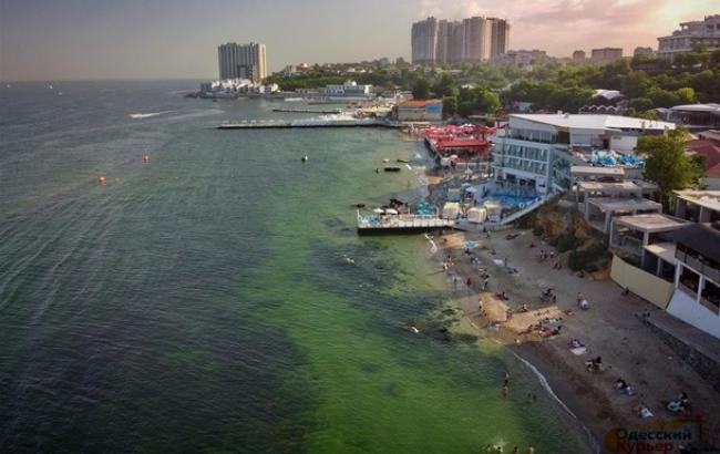 Через цвітіння бактерій в Одесі позеленіло море (ФОТО)