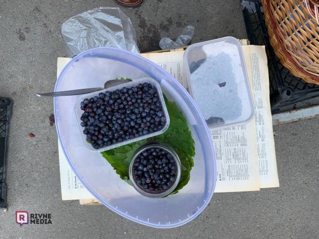 На ринку у Рівному продають перші чорниці: які ціни на ягоди