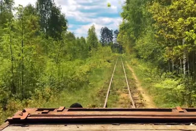 Глухі ліси та болота: залізничник показав незвичну подорож Поліссям (ВІДЕО)
