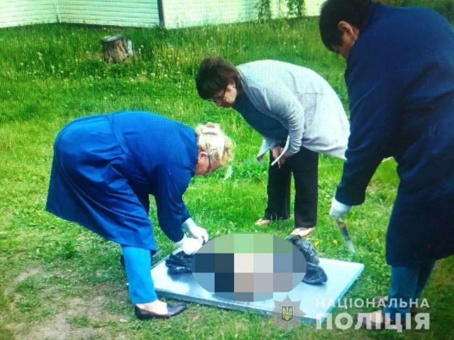 На Рівненщині чоловік розбив череп собаці, який задушив курку