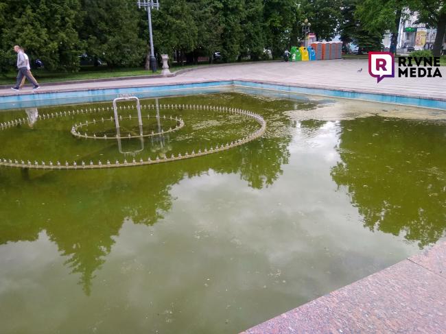 "Щучкою" у зелену воду: у Рівному молодик зміряв фонтан (ФОТО)