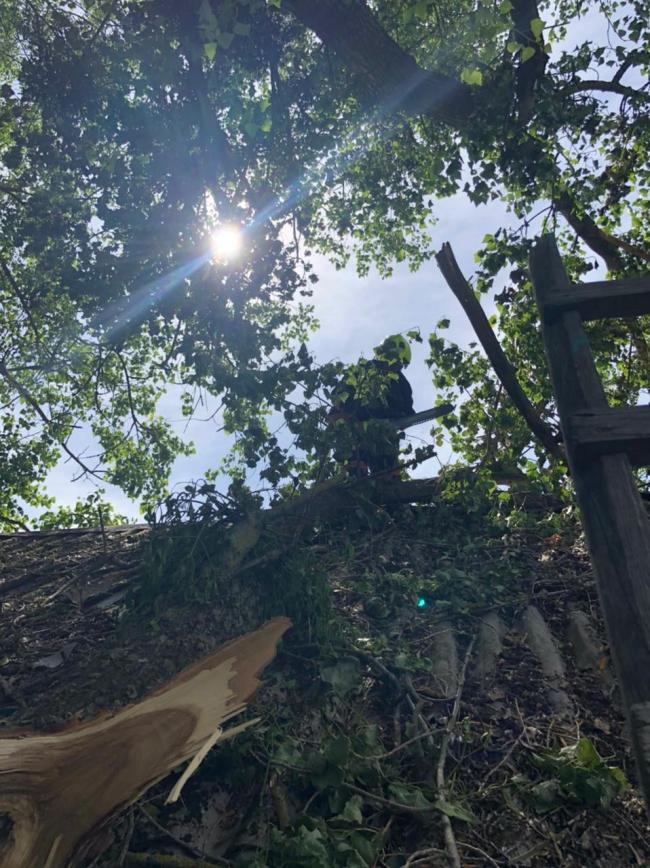 У селі на Рівненщині дерево впало на дах клубу (ФОТО)