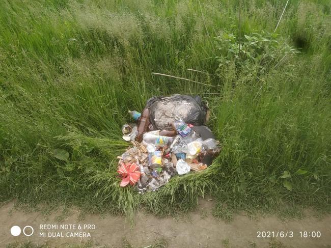 Викинув сміття на польовій дорозі: на Рівненщині чоловік отримав адмінпротокол