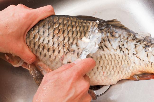 Як швидко почистити рибу від луски: ТОП- 3 способи
