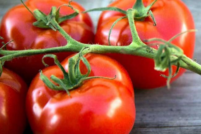 Як виростити великі і смачні помідори: способи підживлення