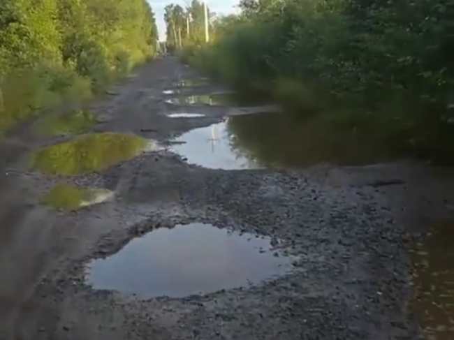 "І це ще не найгірша ділянка": у мережі показали стан дороги між двома селами на Рівненщині (ВІДЕО)