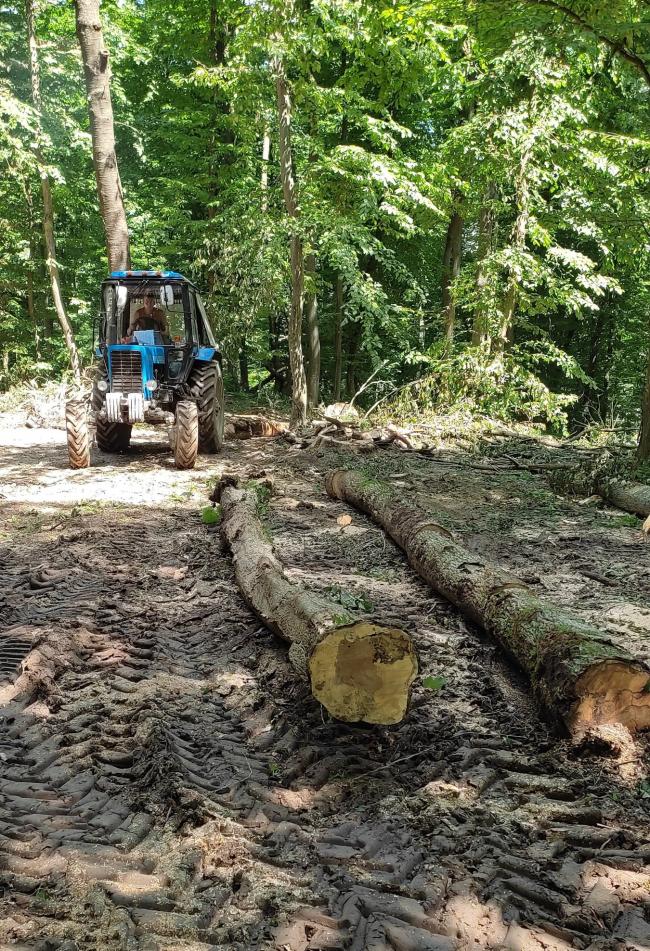 Інспектори Держпраці навідались у лісгосп на Рівненщині: виявили порушення