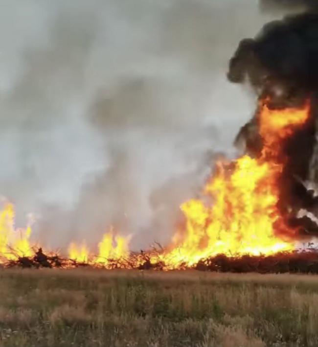 На Рівненщині горіли поля: вогонь на телефон зняли, а пожежників - не викликали (ВІДЕО)
