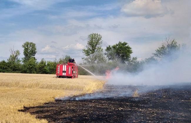На Рівненщині вигоріло 20 соток пшениці