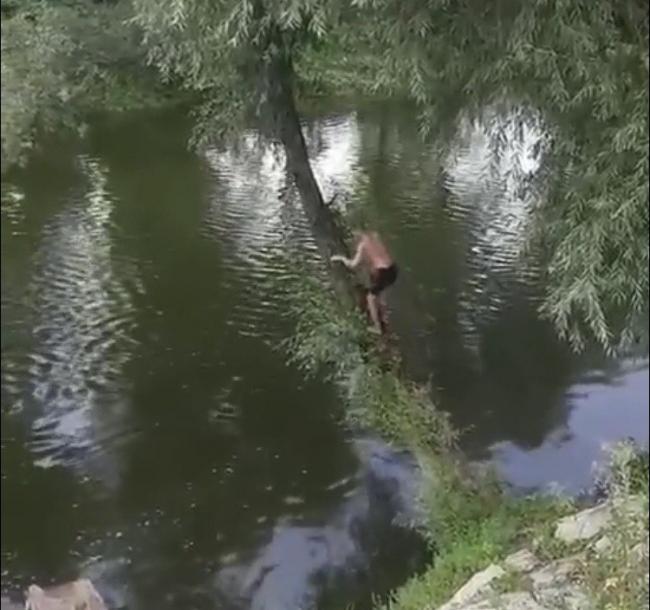 Небезпечні розваги на Рівненщині: юнаки стрибають з дерева у річку (ВІДЕО)