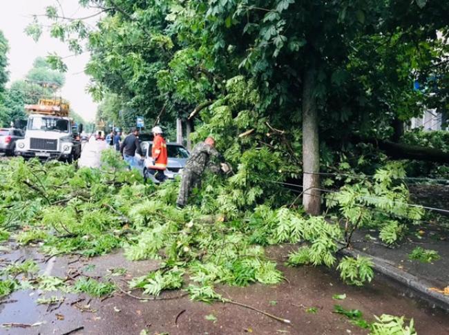 Повалені дерева та затоплені вулиці: Житомир постраждав від негоди (ФОТО)