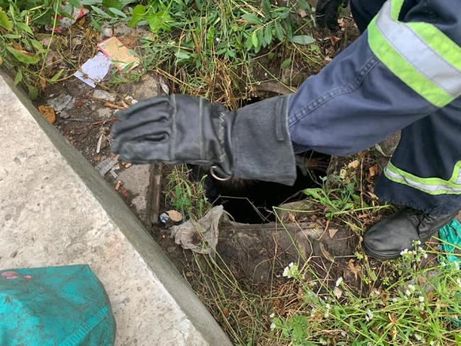 Рівненські рятувальники показали, як діставали жінку з каналізації (ВІДЕО)