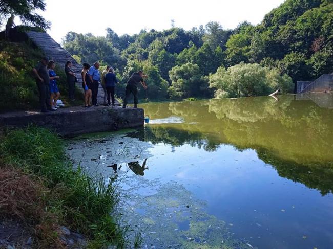 Аварія на насосній станції у Житомирі: стоки потрапили у річку, масово гине риба