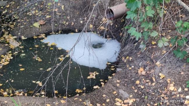 На Рівненщині виявили 35 труб, з яких мешканці зливали нечистоти в канаву