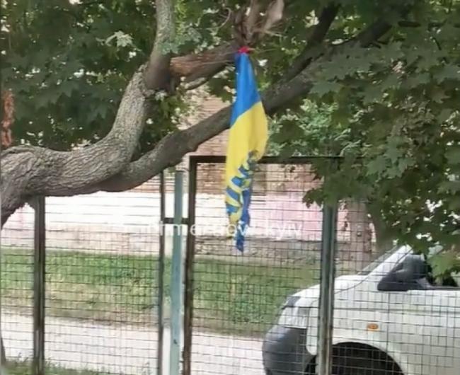 У Києві підлітки спалили прапор України на День Незалежності