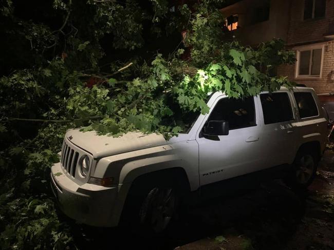 У Рівному нічний шквал повалив дерево на автомобілі (ФОТО)