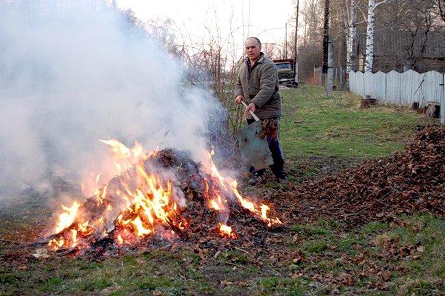 340 грн за порушення: у місті на Рівненщині оштрафували чотирьох паліїв трави