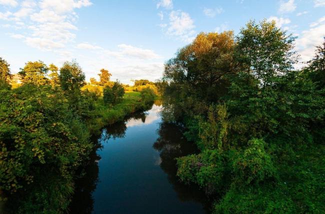 Краєвиди річки Замчисько: фотограф з Рівненщини поділився світлинами