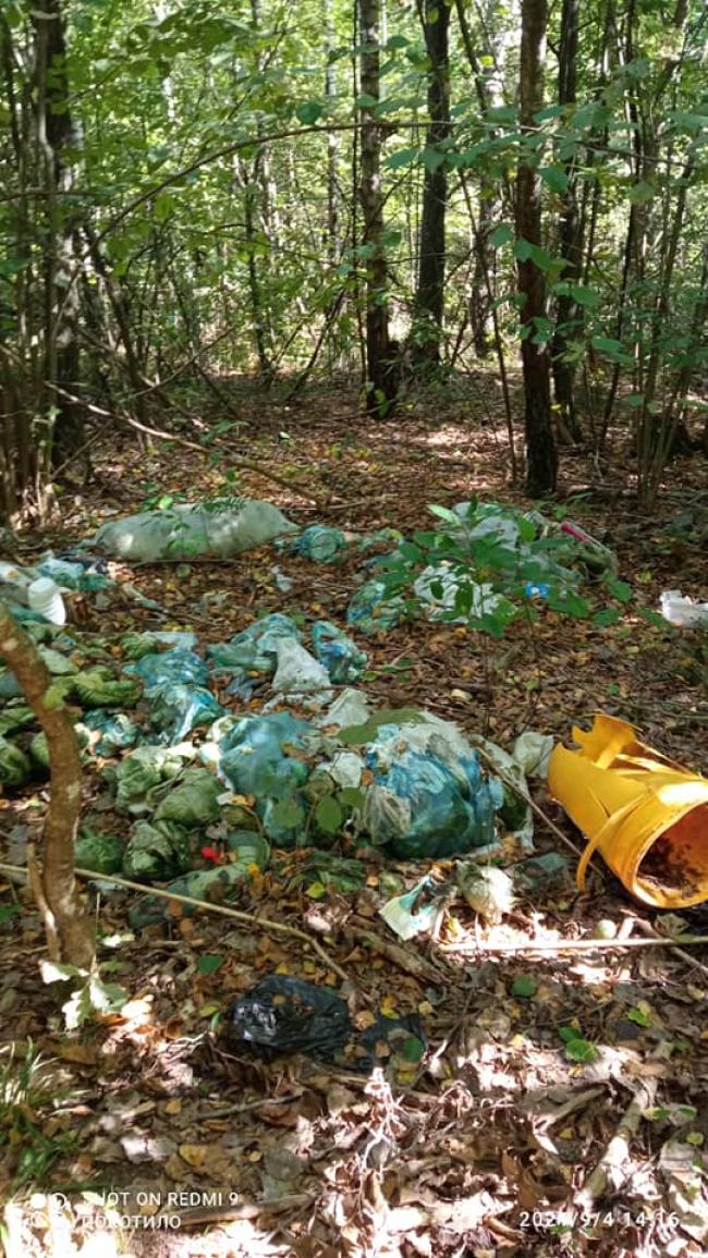 У лісі на Рівненщині чоловік замість грибів знайшов купи сміття (ФОТО)