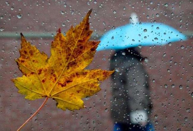 На Рівненщині до кінця тижня йтимуть дощі: коли потепліє