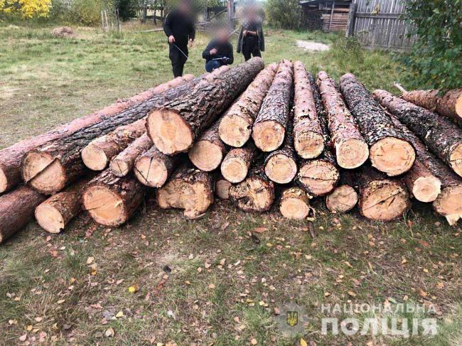 У молодика на Рівненщини вилучили 30 колод деревини