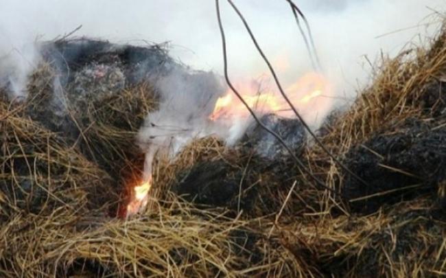 У селищі на Рівненщині згоріла будівля і 5 тонн сіна