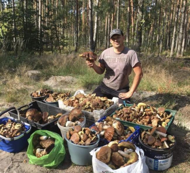 Ящиками, відрами та пакетами грибники виносили "трофеї" з лісу на Рівненщині
