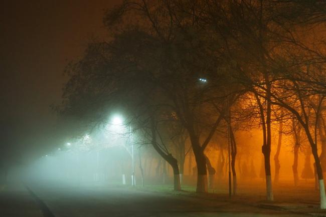 Густий туман на дорогах: на Рівненщині оголосили штормове попередження