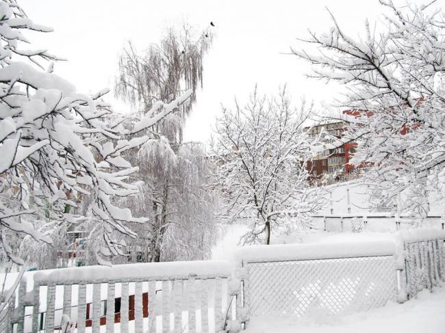Морози, снігопади та бурани: якою буде цьогорічна зима в Україні