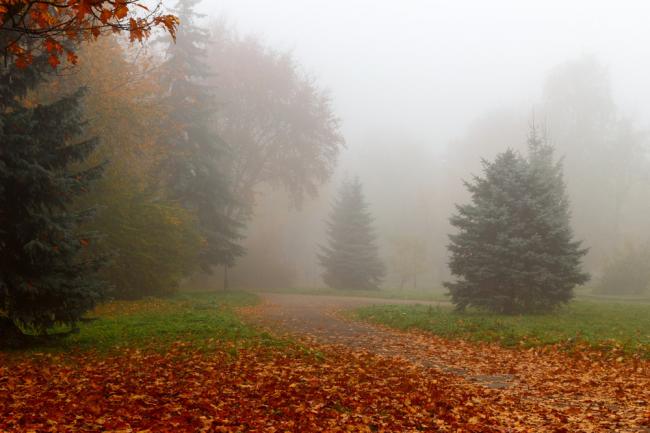 На Рівненщині оголосили штормове попередження через густий туман