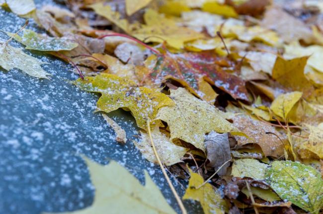 Нічні морози і туман: на Рівненщині до кінця тижня похолодає