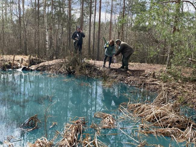 У Житомирській області біля кордону з Білоруссю ділянку затопило пальним