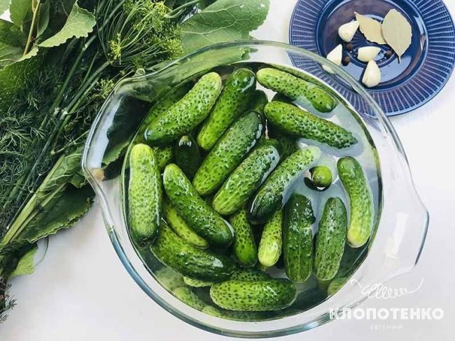 Як приготувати малосольні огірки з йодованою сіллю: рецепт від Євгена Клопотенка
