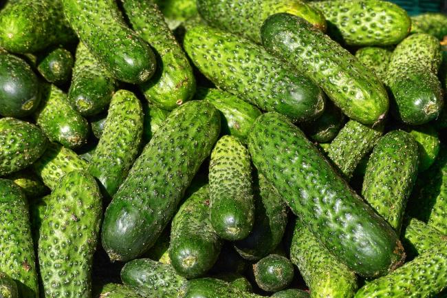 Як зберегти огірки свіжими більше місяця: лайфхак для шанувальників соковитого овоча
