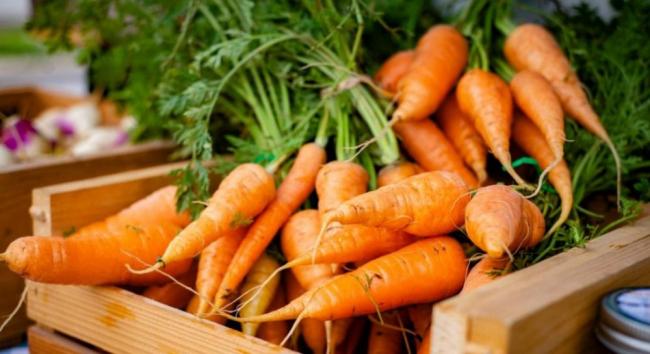 Морква лежить до весни та не гниє: новий спосіб зберігання