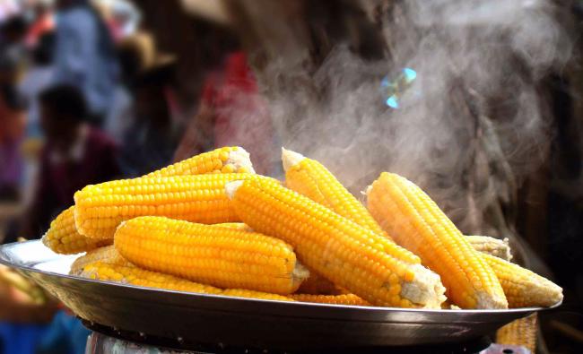 Як правильно варити молоду кукурудзу, щоб була м’яка та смачна