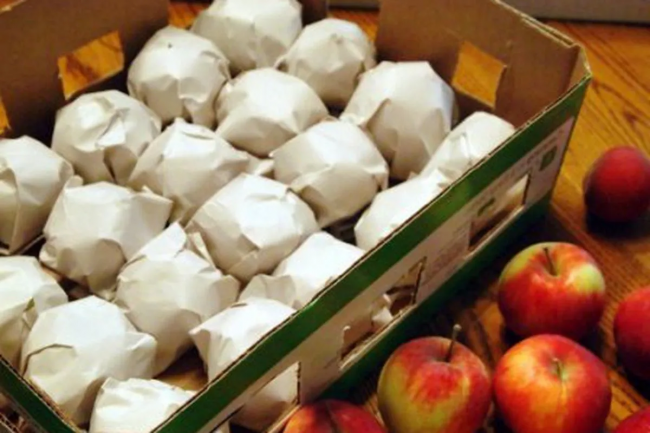 7 важливих порад, як зберегти урожай яблук