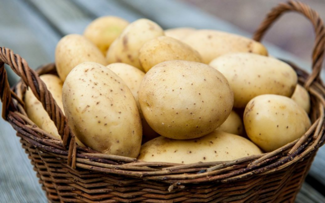 Як зберігати картоплю у квартирі, щоб вона не проросла і не зіпсувалася