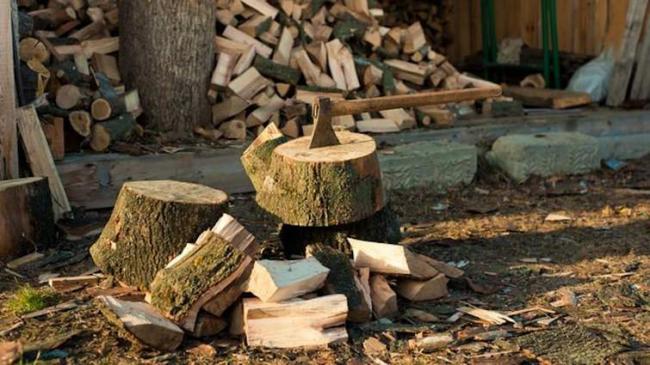 Чому цвітуть та погано загоряються дрова: помилки при зберіганні та заготівлі
