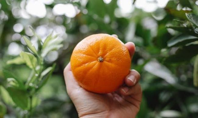 Як обрати смачні мандарини: 5 практичних порад