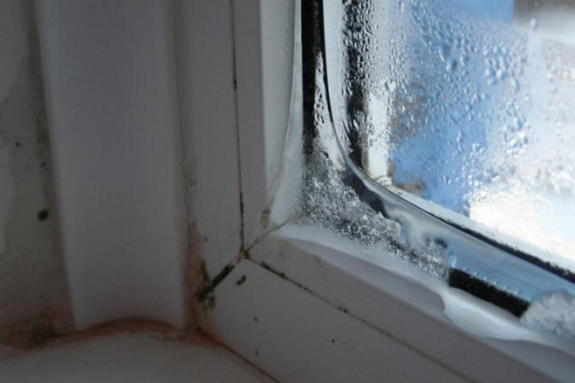 Як позбутися конденсату на пластикових вікнах: корисні поради