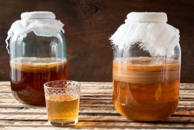Чайний гриб у банці: як варто пити комбучу, щоб була користь