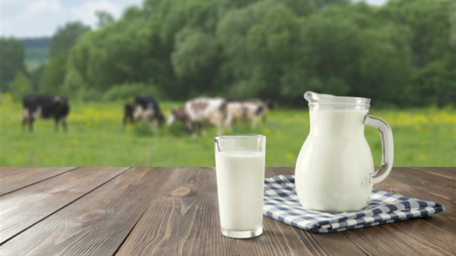 Як приготувати добриво з молока для швидкого росту розсади 