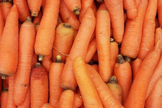 Чому морква починає гнити одна за одною, та як цього не допустити