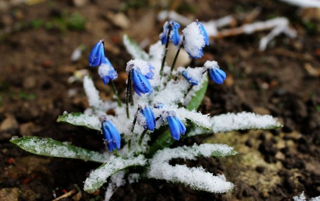 Пориви вітру та налипання снігу: жителів Рівненщини попереджають про погіршення погоди