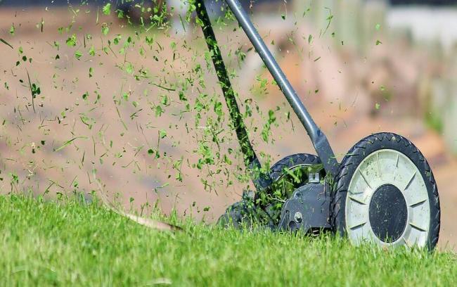 Красива і зелена трава на газоні: секрети догляду за галявиною