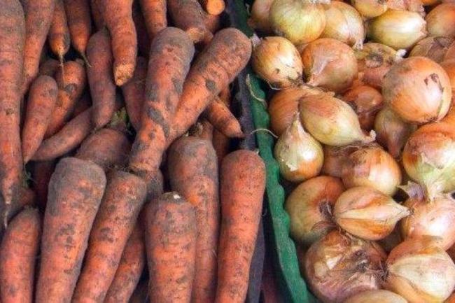 Ідеальне сусідство: чому потрібно посадити цибулю поруч з морквою