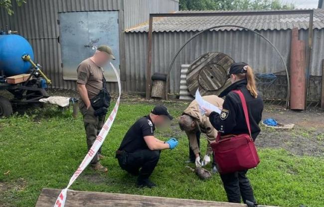 Народила двійню в хліву та покинула: на Сумщині розслідують загибель немовлят